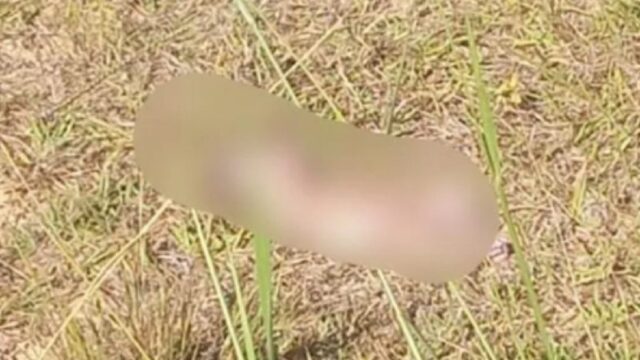 Recém-nascido é encontrado morto em lote de Senador Canedo