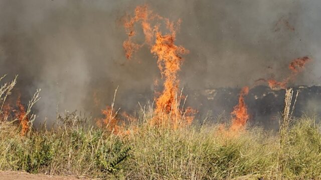 Incêndio de grandes proporções atinge vegetação no Pasto do Pedrinho em Catalão