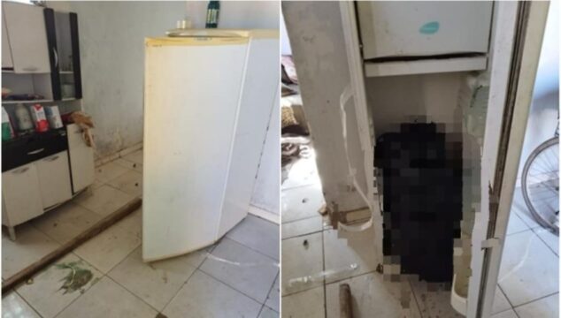 Homem confessa que matou a companheira e guardou o corpo dela por 4 dias em geladeira, diz polícia