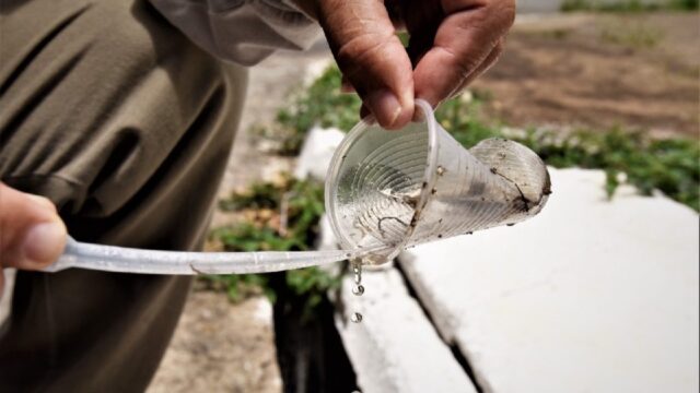 Governo de Goiás alerta para importância da prevenção no combate à dengue