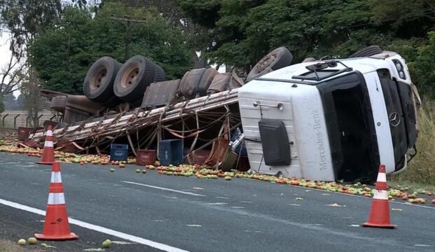 Caminhão com 17 mil quilos de tomates tomba na BR-050, em Uberlândia