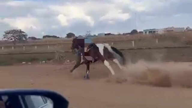 Vídeo: Mulher sofre queda de cavalo após o animal disparar em avenida de Catalão