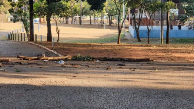 Galho de árvore com 5 m cai na cabeça de idoso que caminhava em praça de Uberlândia