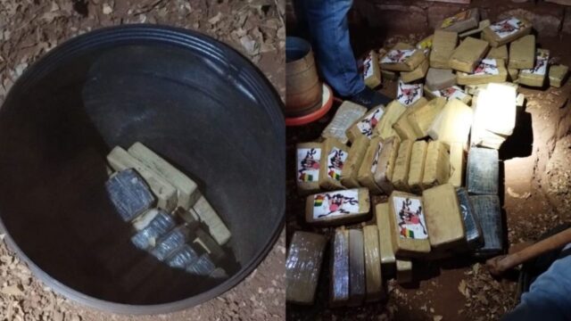 Drogas escondidas até em galinheiro: 278 quilos de cocaína avaliados em R$ 50 milhões são apreendidos em MG