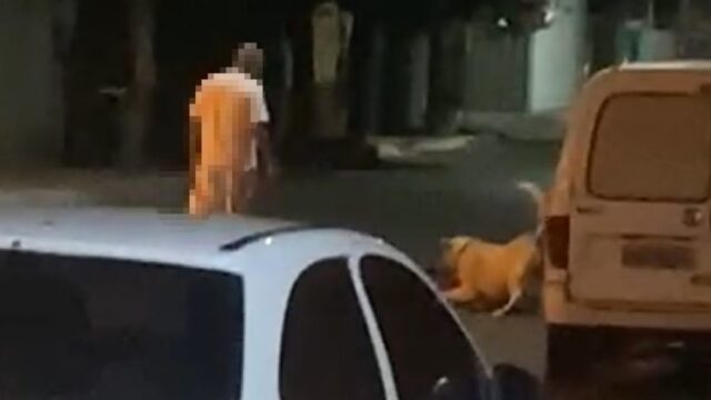 Polícia Civil apura briga de cães, em Ouvidor