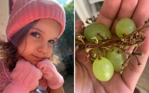 Menina de 3 anos morre após ter série de paradas cardíacas ao se engasgar com uva, em Goiânia