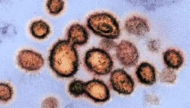 Alta de Covid no Brasil: Minas e Goiás são os estados com maior positividade da infecção