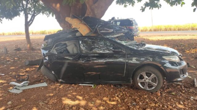 Carro bate em árvore, mata motorista e deixa passageiro gravemente ferido na BR-452