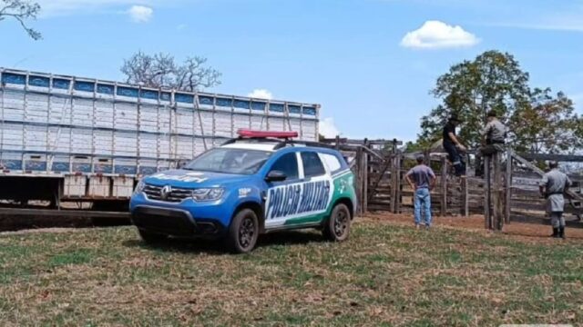 Ação policial rápida: cinco suspeitos presos em flagrante após furto de 20 cabeças de gado em Davinópolis