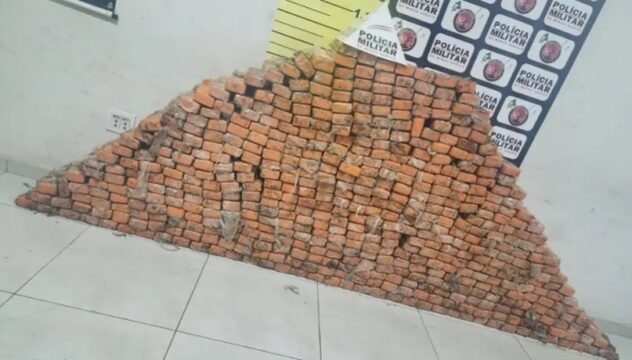 Meia tonelada de maconha é apreendida durante operação policial em chácara de Uberlândia
