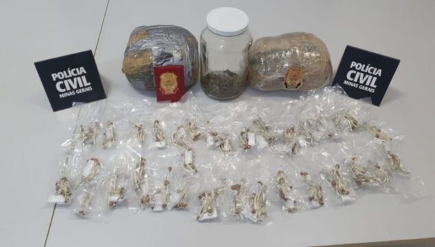 Maconha 'gourmet' e cogumelos alucinógenos: estudante de direito é detido com drogas avaliadas em R$ 80 mil, em Uberlândia