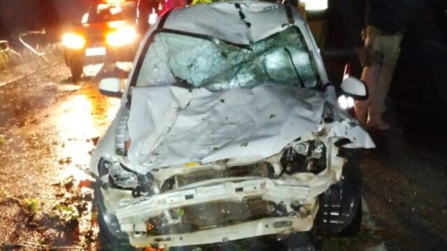Árvore cai sobre carro na BR-050 entre Catalão e Araguari, deixando duas pessoas feridas