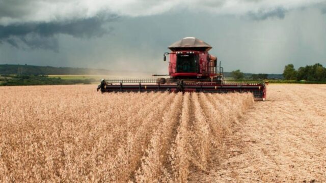 PIB de Goiás cresce 8% em setembro impulsionado pela agropecuária