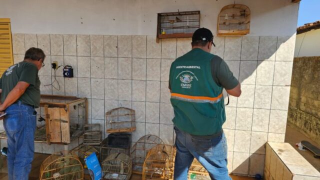 Agentes da Secretaria de Meio Ambiente, com apoio da Polícia Militar, apreendem pássaros silvestres em cativeiro, em Catalão