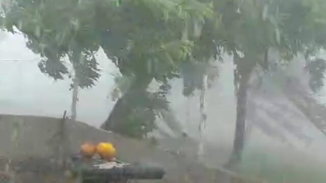 Chuva e vendaval causam estragos em comunidade Olhos D'água no município de Catalão; veja vídeo