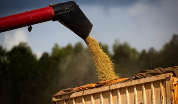 PIB goiano cresce 5,4% em 12 meses