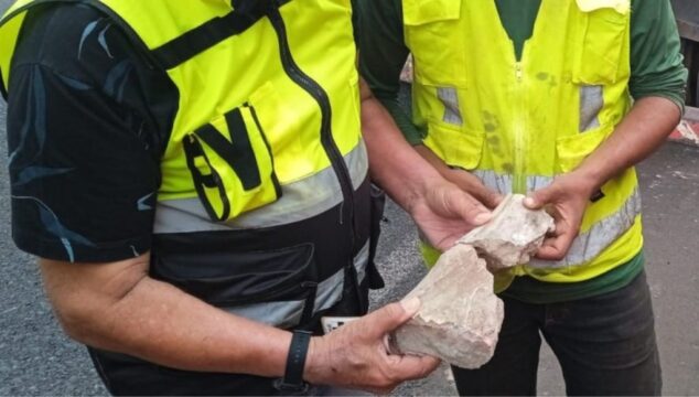 Fóssil de dinossauro é encontrado em escavação de obra na BR-050 em MG