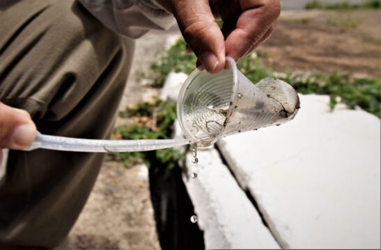 Governo de Goiás reforça combate ao Aedes Aegypti