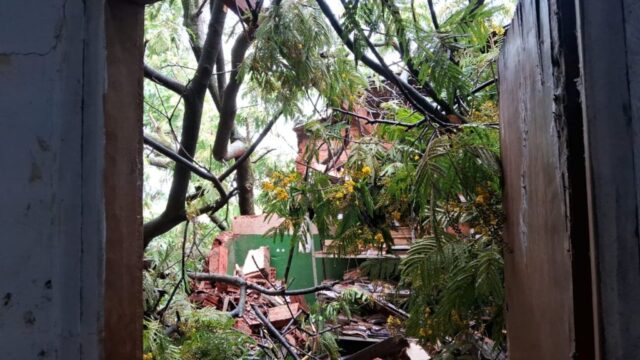 Com ventos fortes, árvore cai sobre casa e assusta idosos às margens da BR-050 em Catalão