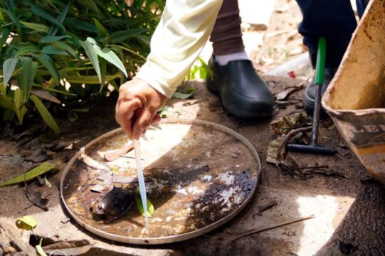 Governo de Goiás reforça ações de combate à dengue contra ameaça de epidemia em 2024