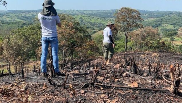 Fiscais flagram desmatamento em Corumbaíba e uso irregular de fogo em Marzagão