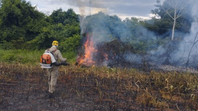 Bombeiros de Catalão combate incêndio em vegetação, no município de Catalão