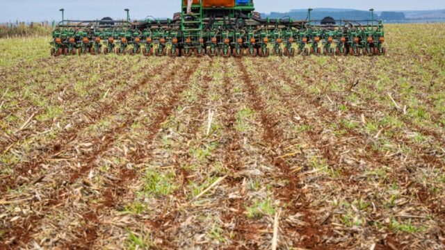 Prorrogado até 12 de janeiro o prazo para semeadura da soja em Goiás
