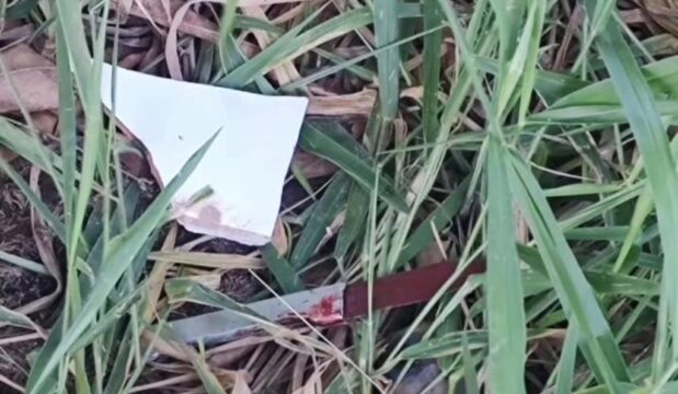 Cadáver com sinais de violência é encontrado em terreno baldio de Araguari