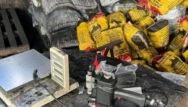 Polícia Civil e SEMAD/GO apreendem carvão vegetal de origem ilícita e autua responsável, em Vianópolis
