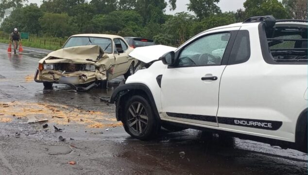 Motorista de carro morre ao bater de frente com caminhonete na BR-050, em Uberlândia