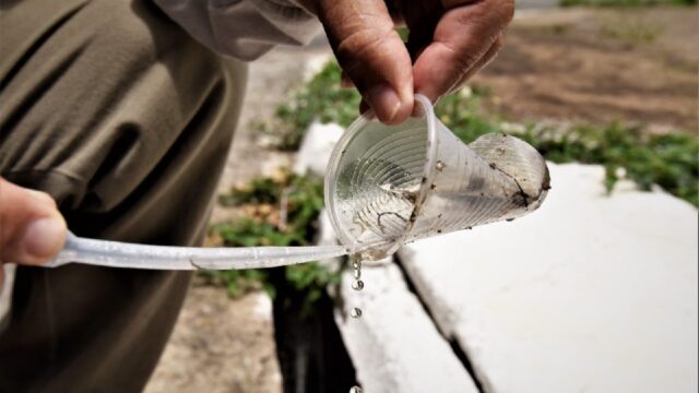 Estudo constata que maioria dos criadouros do Aedes está no lixo domiciliar