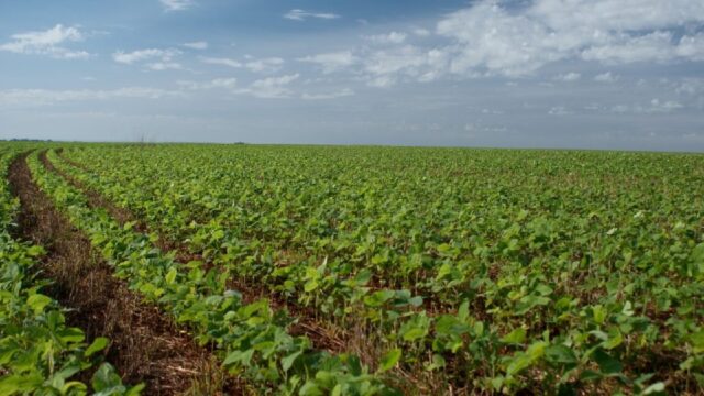 Balança comercial goiana apresenta maior superávit em 26 anos