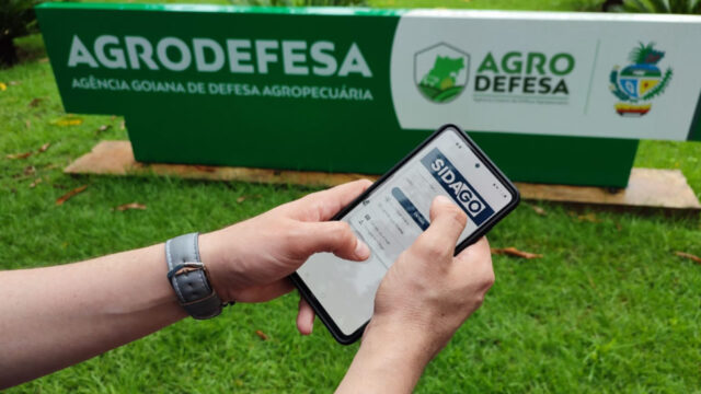 Produtores goianos têm até 27 de janeiro para efetuar cadastro de lavoura de soja