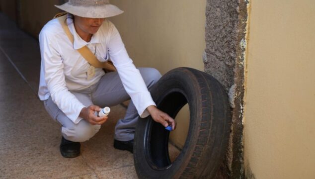 Dengue: Mutirão de enfrentamento ao mosquito transmissor da doença começa pelo Castelo Branco