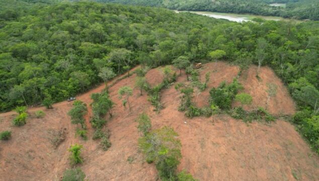 Semad encontra mais de 14 hectares desmatados em Ipameri e Caldas Novas
