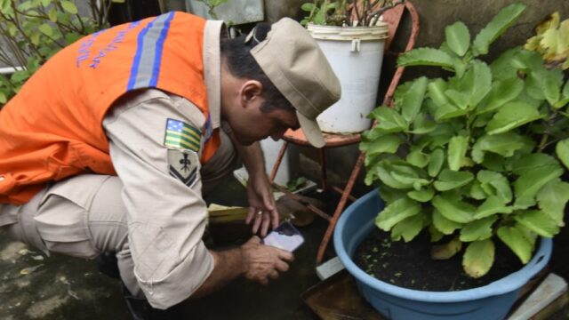 Governo de Goiás realiza Dia D de Combate à Dengue