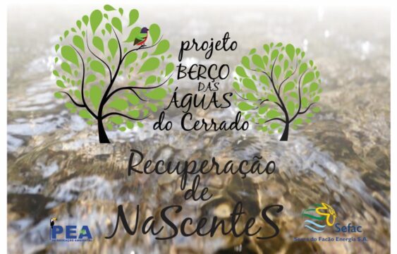 Projeto Berço das Águas do Cerrado da Sefac: Recuperação de nascentes