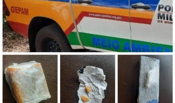 Em Uberlândia, mulher é presa por tráfico de drogas e abandono de cinco crianças