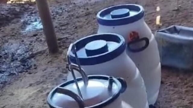Goiandira: Produtora de leite descarta 750 litros de leite por falta de energia; Vídeo