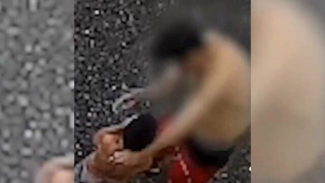 VÍDEO: Padrasto obriga enteado de 8 anos a comer galhos e pedras, em Uberlândia; criança era vítima de agressões físicas