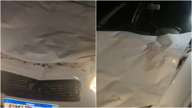 Carro colide com animal em rodovia municipal durante a madrugada em Catalão