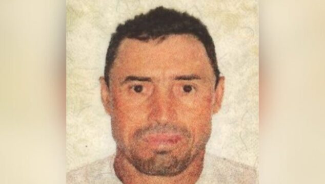 Tragédia na zona rural de Três Ranchos: Trabalhador autônomo morre após ser atingido por galho durante corte de árvore