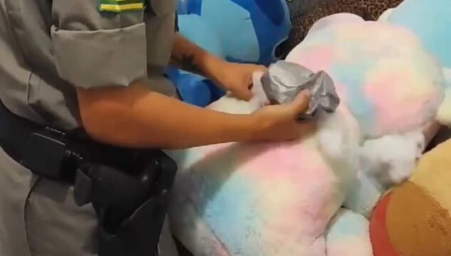Urso de pelúcia era usado para esconder drogas, em Rio Quente