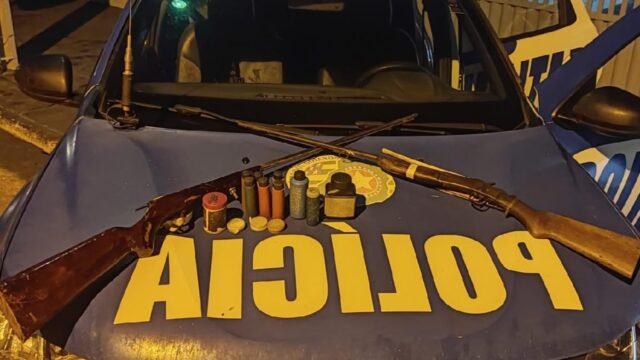 Homem é preso com armas e munições ilegais no distrito de Cavalheiros, em Ipameri