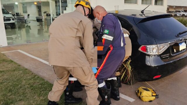 Passageira de 19 anos morre em acidente de carro em avenida de Catalão