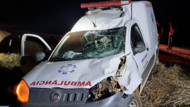 Ambulância de Monte Carmelo atinge bovino na MG-223; passageiros saem ilesos do incidente