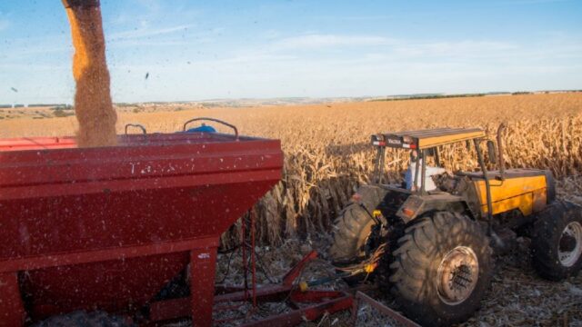 Agronegócio em Goiás emprega mais de 1 milhão de pessoas em 2023