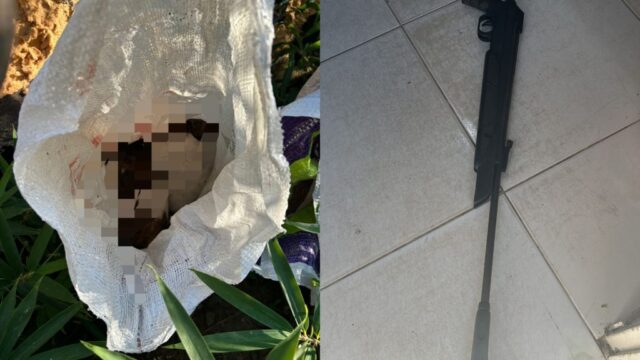 PM prende suspeito de matar cachorros em Caldas Novas