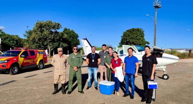 Hospital Estadual do Centro-Norte Goiano (HCN) realiza primeira captação de órgãos de 2024