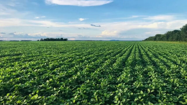 A AgroBrasília leva informações sobre a Agricultura Regenerativa à cidade de Catalão, Goiás